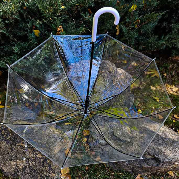 عکس شماره:2 , چتر شیشه‌ای زنانه ۸ فنره عصایی باکیفیت_شفاف