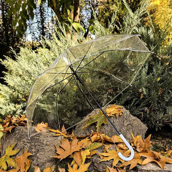 عکس شماره:1 , چتر شیشه‌ای زنانه ۸ فنره عصایی باکیفیت_شفاف