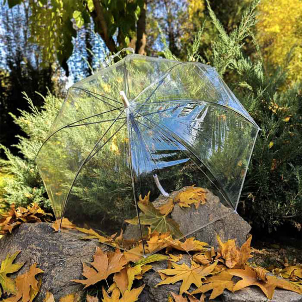 عکس شماره:0 , چتر شیشه‌ای زنانه ۸ فنره عصایی باکیفیت_شفاف